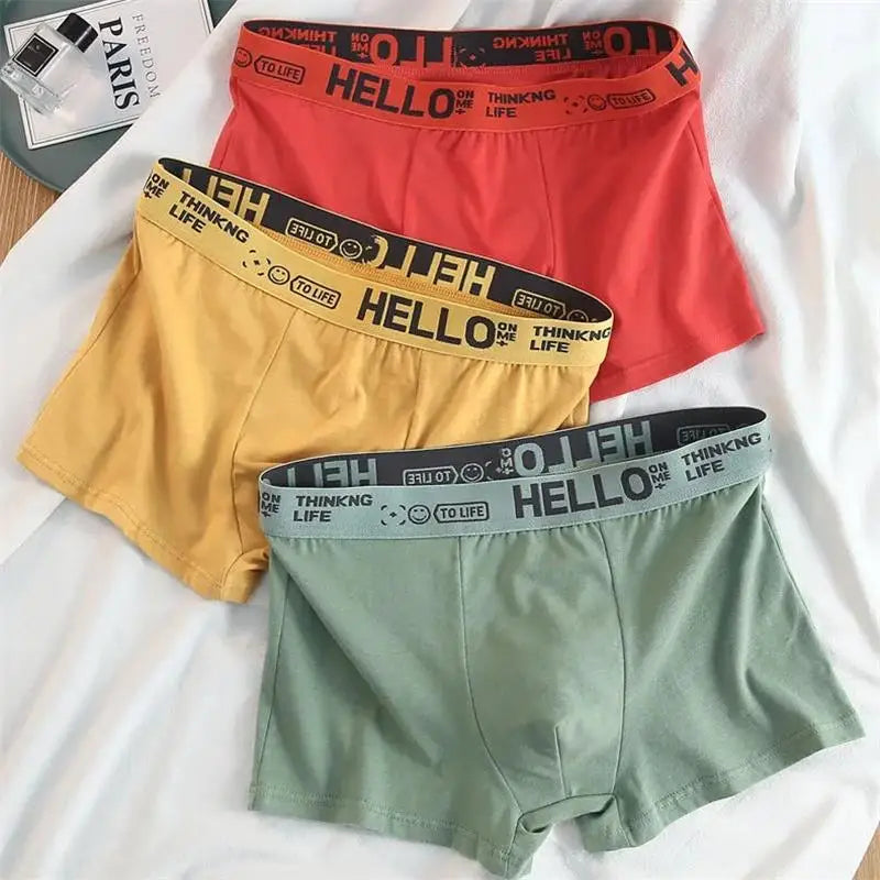 10Pieces/ Men's Underwear Men Pure Cotton Underpants Men Brand Panties Shorts Breathable Boxer Shorts Comfortable Soft Plus Size